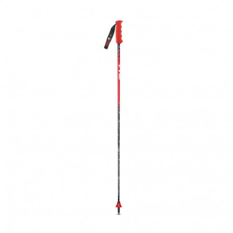 BATONS DE SKI GEANT CARBONE