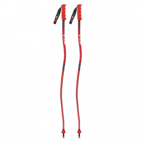 SKI POLES NEW GEANT