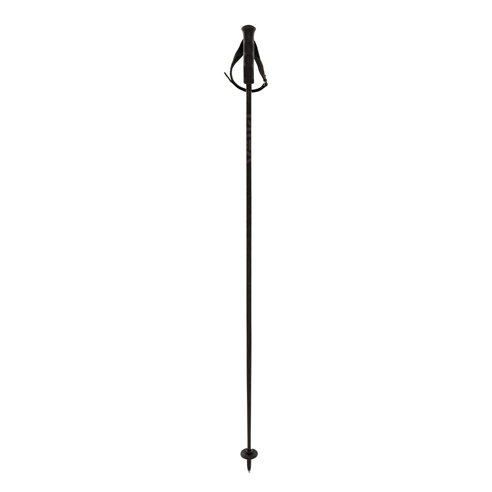 SKI POLES SPEEDSTICK CARBON