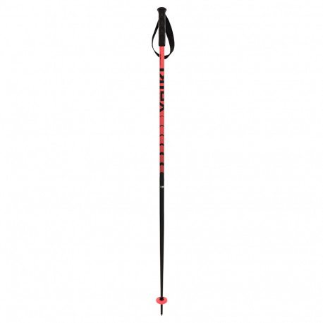 BATONS DE SKI SPEEDSTICK RED