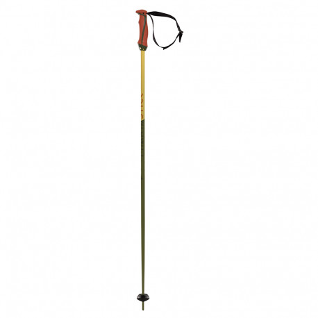 BATONS DE SKI PHANTASTICK 16MM GREEN