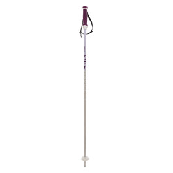 SKI POLES PHANTASTICK W SILVER