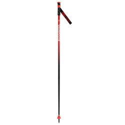 BATONS DE SKI HERO GS-SG