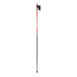 SKI POLES WCS PREMIUM - FREE SIZES
