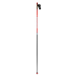 SKI POLES WCS - FREE SIZES