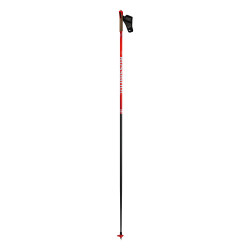 BATONS DE SKI FORCE 9