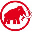 MAMMUT